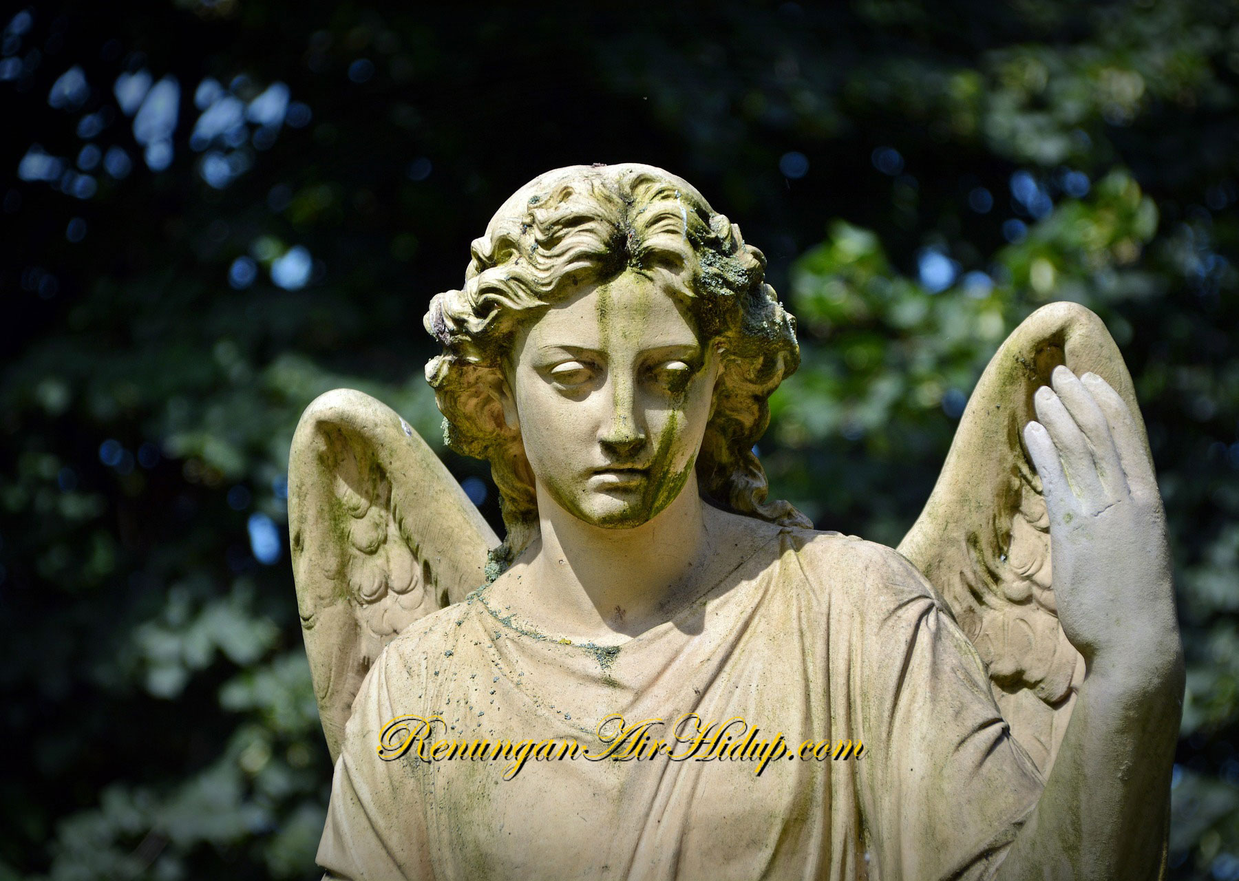 Seperti-Muka-Seorang-Malaikat