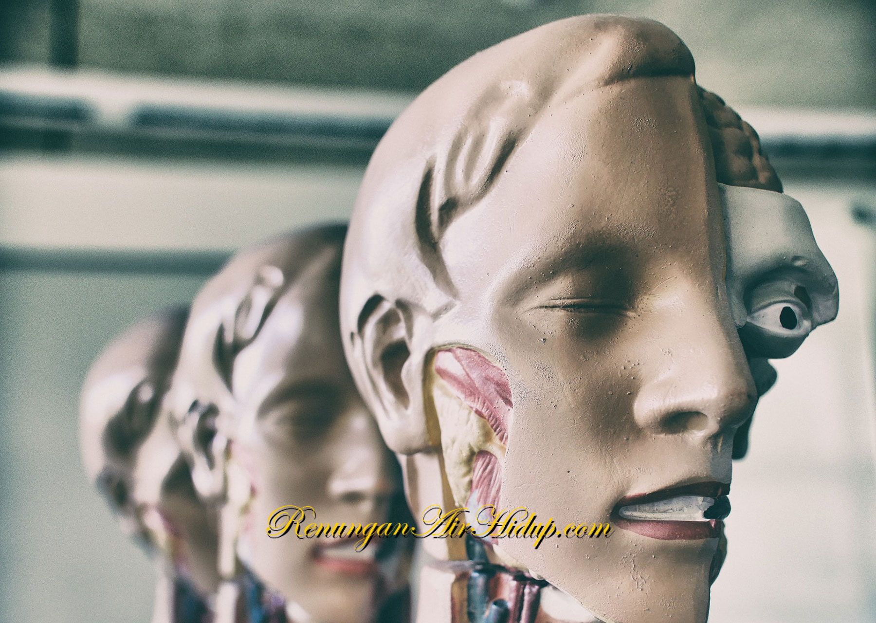 Ajaib_Apa_yang_Kaubuat