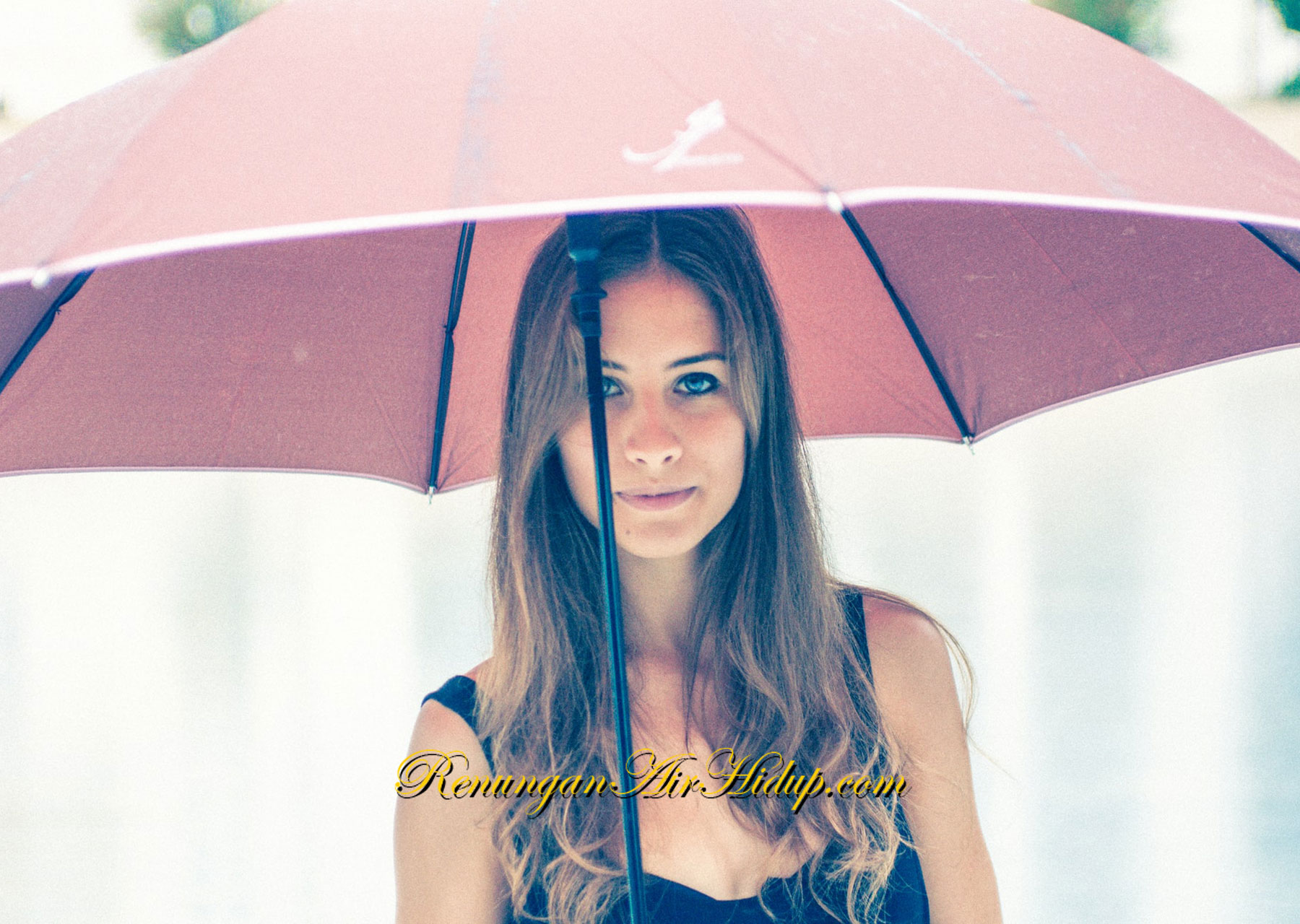 Hidup_Menjadi_Pemenang