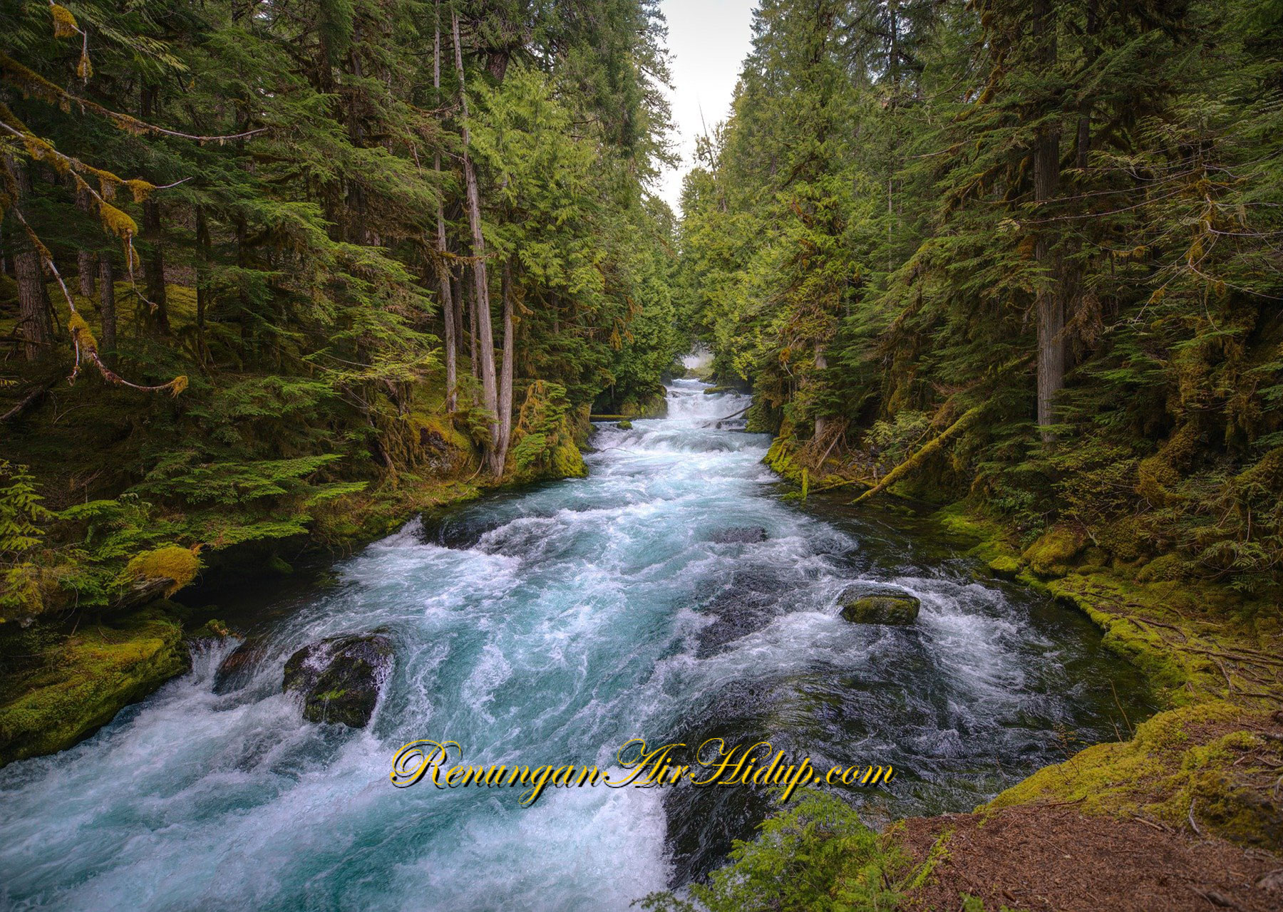 Hidup_di_Dalam_Yesus