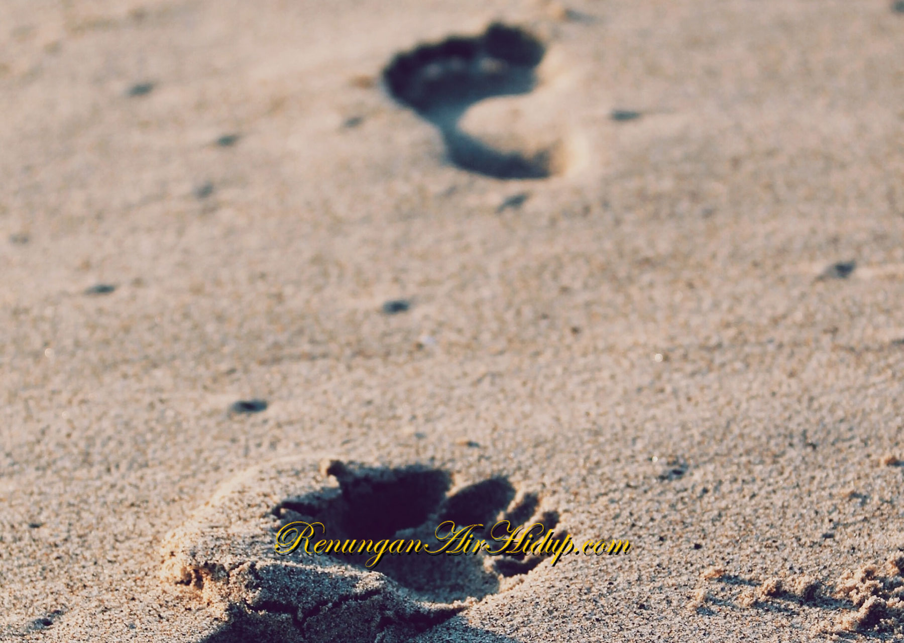 Mengikut_Tuhan_Sungguh-sungguh