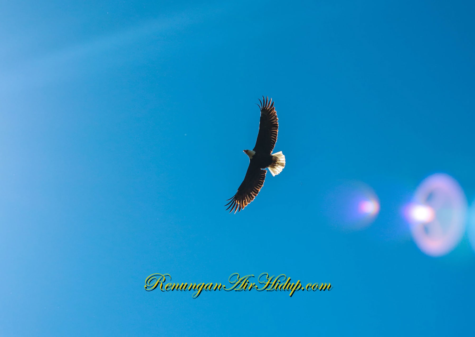 Pengharapan_Akan_Pertolongan_Dari_Tuhan