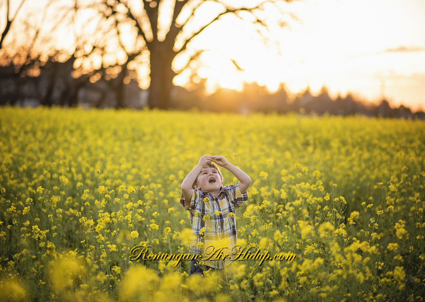 Apa_yang_Kita_Tabur_Dalam_Hidup_Kita