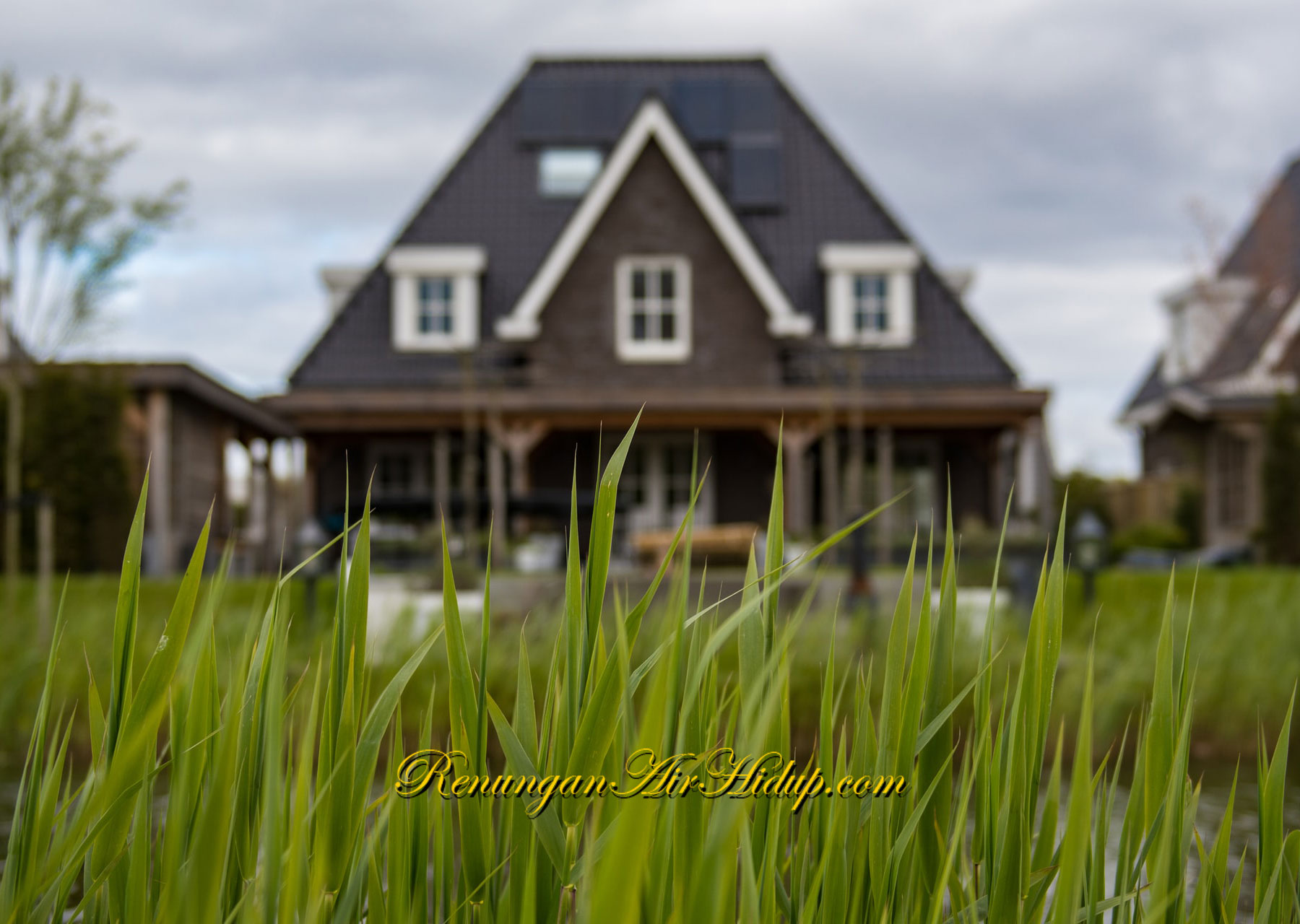 Bertolong-tolonganlah