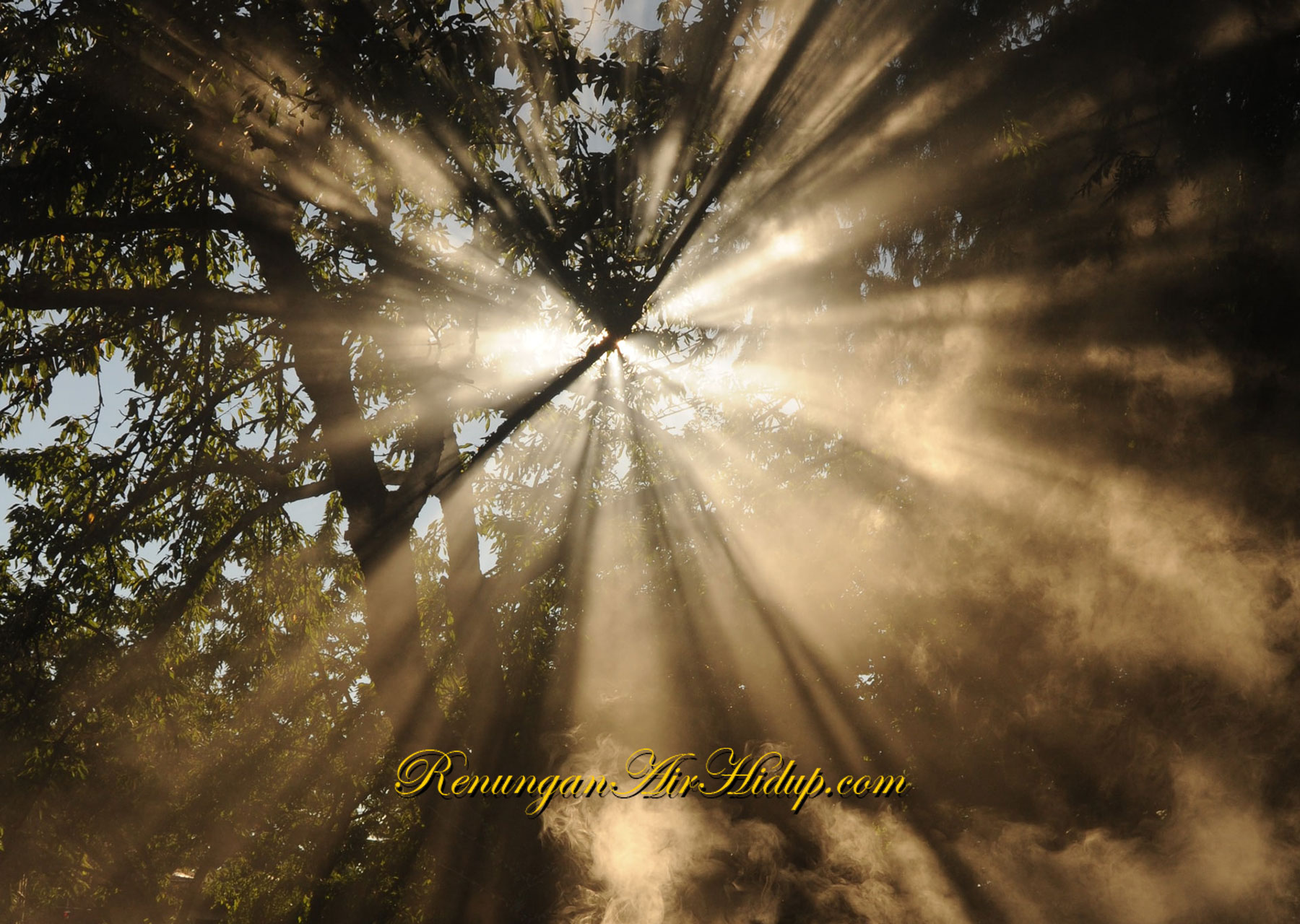 Jadilah_Terang_Untuk_Menerangi_Dunia