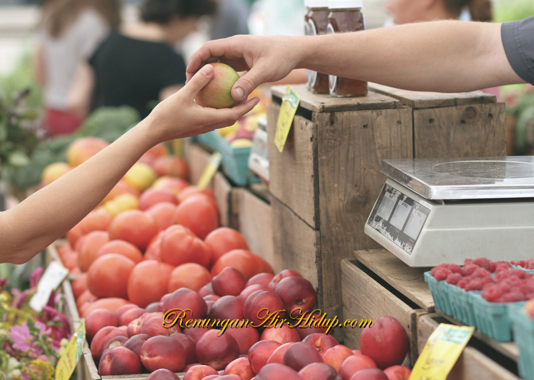 Belilah_Kebenaran_dan_Jangan_Menjualnya