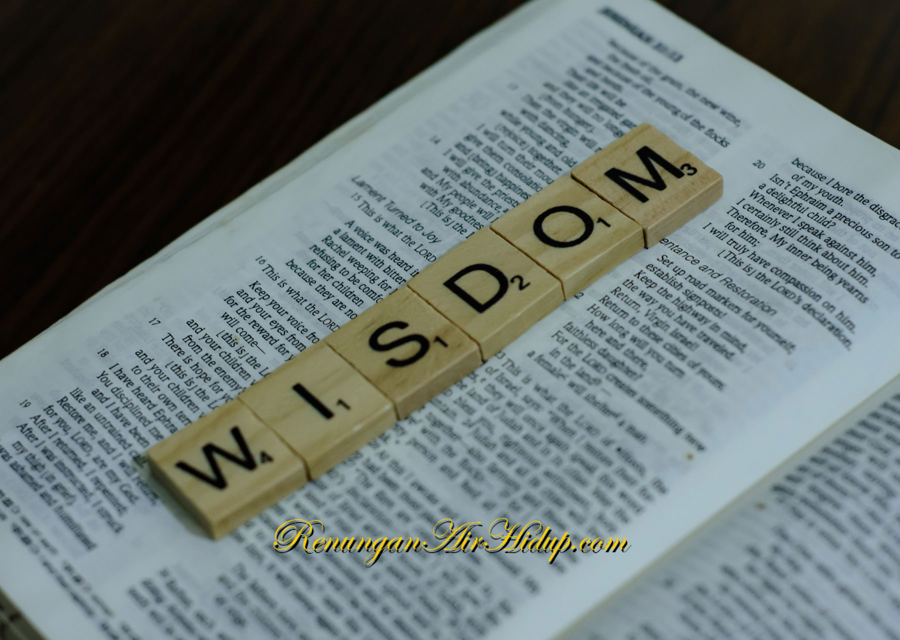 Hikmat_yang_Harus_Kita_Miliki