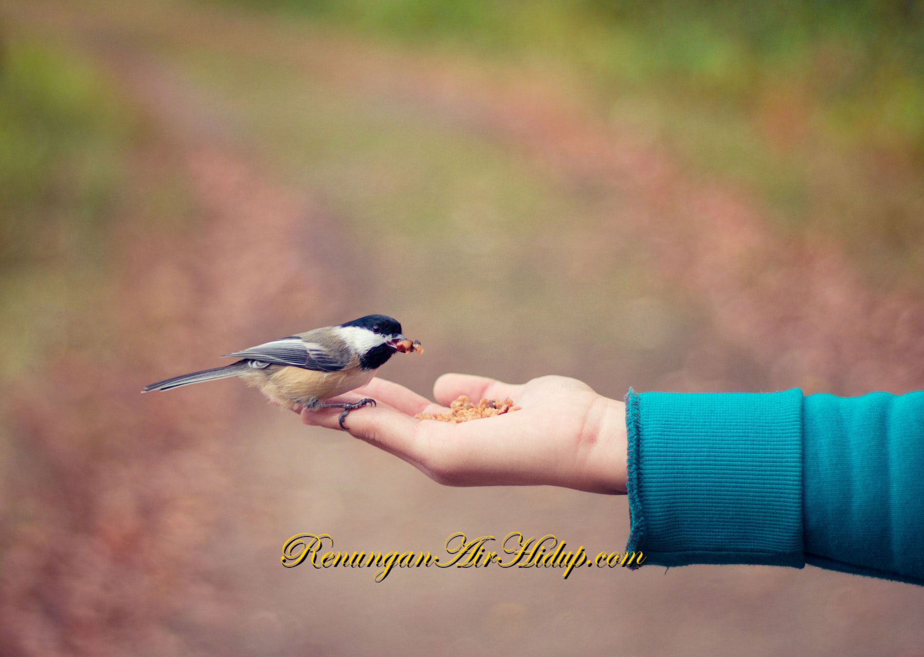 Perbuatan_Baik_yang_Sempurna