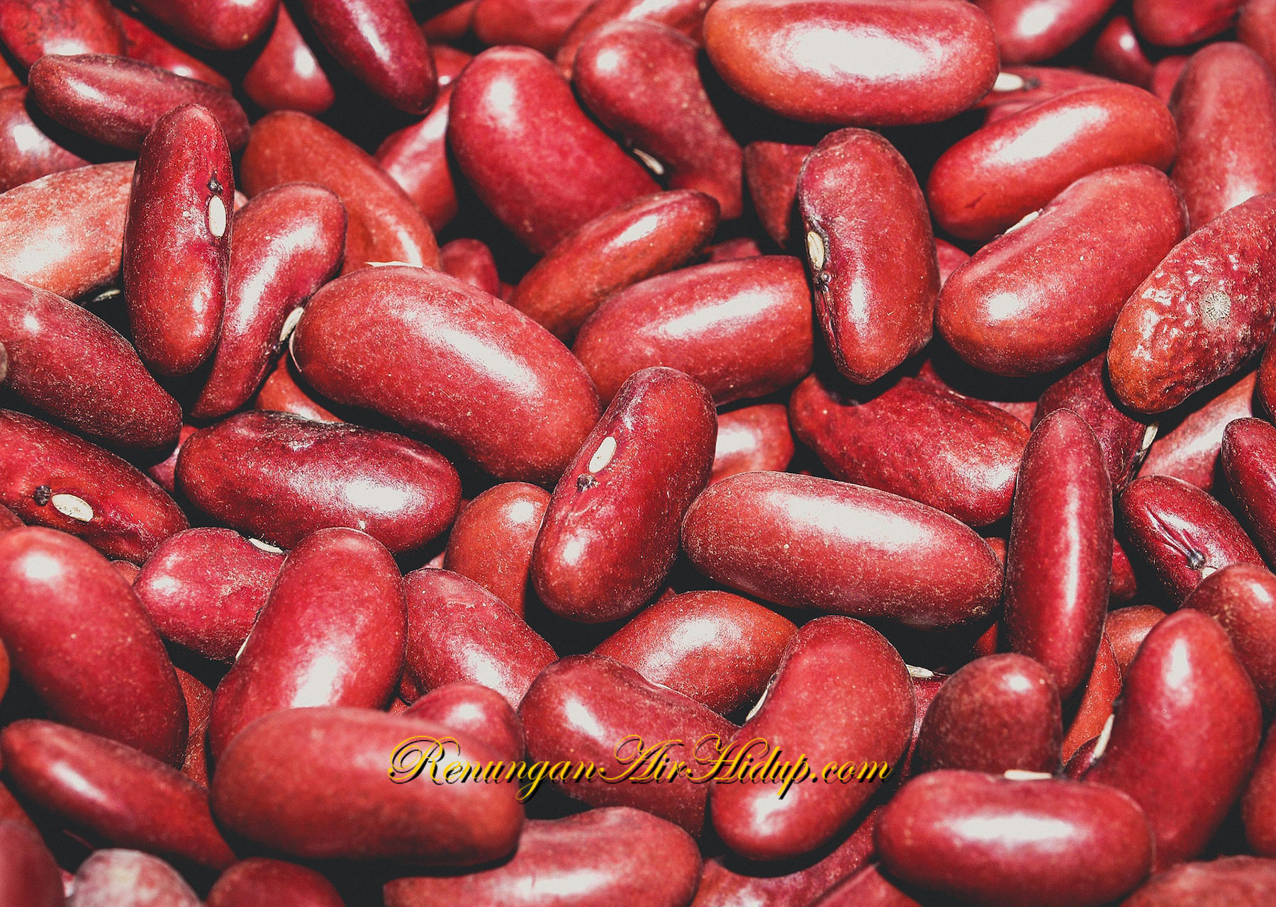 Semangkok_Kacang_Merah