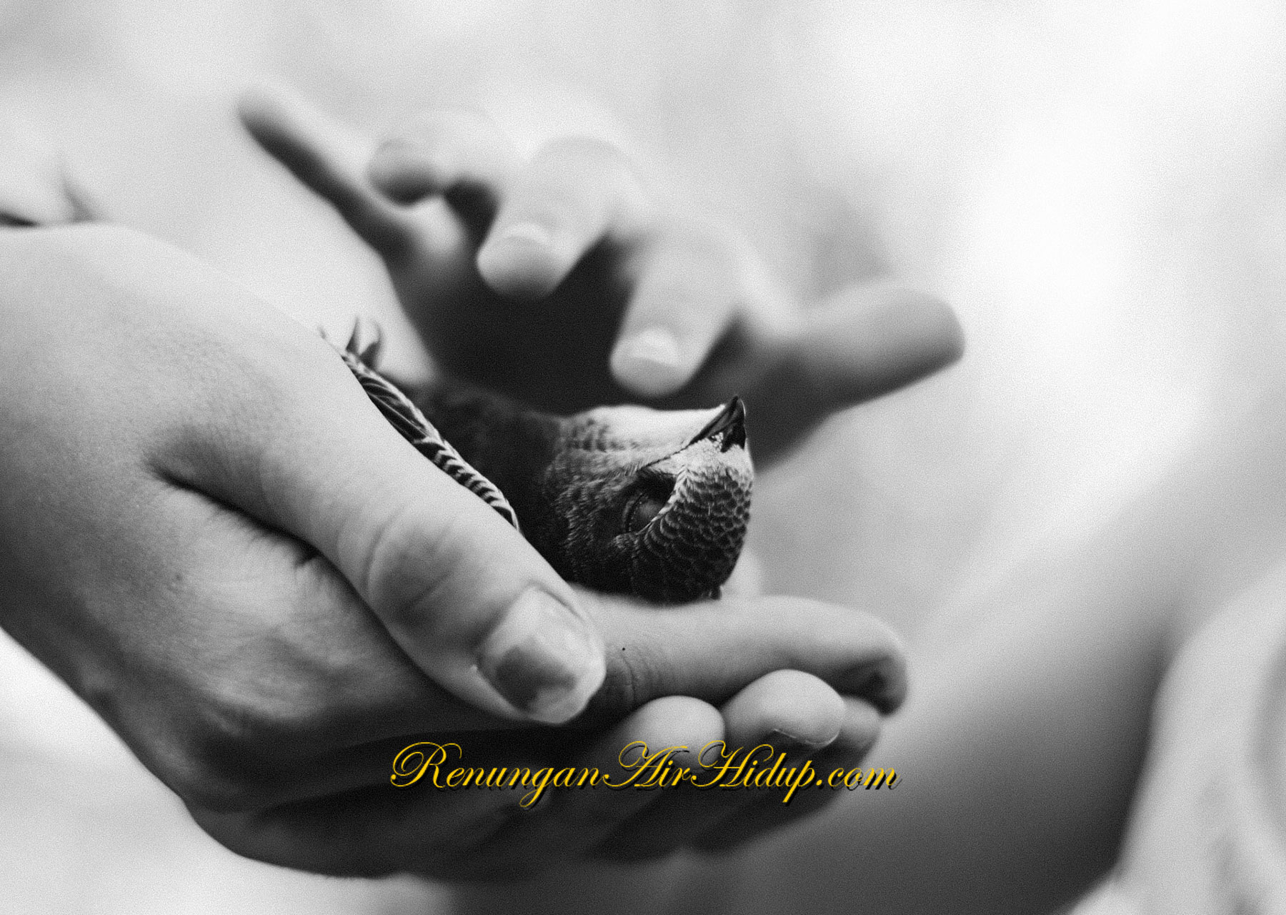 Dia_Tidak_Pernah_Terlambat_Menolong