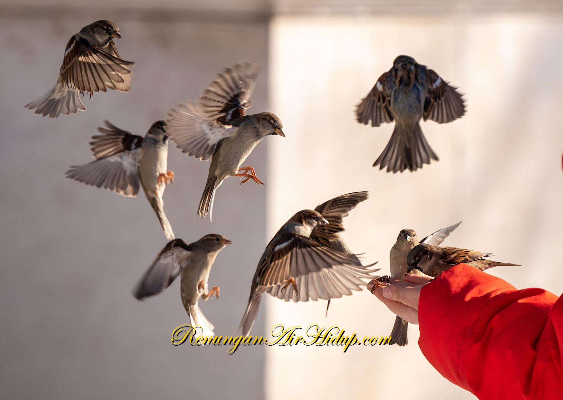 Engkau_Tidak_Akan_Meninggalkan_Aku_Ya_Tuhan
