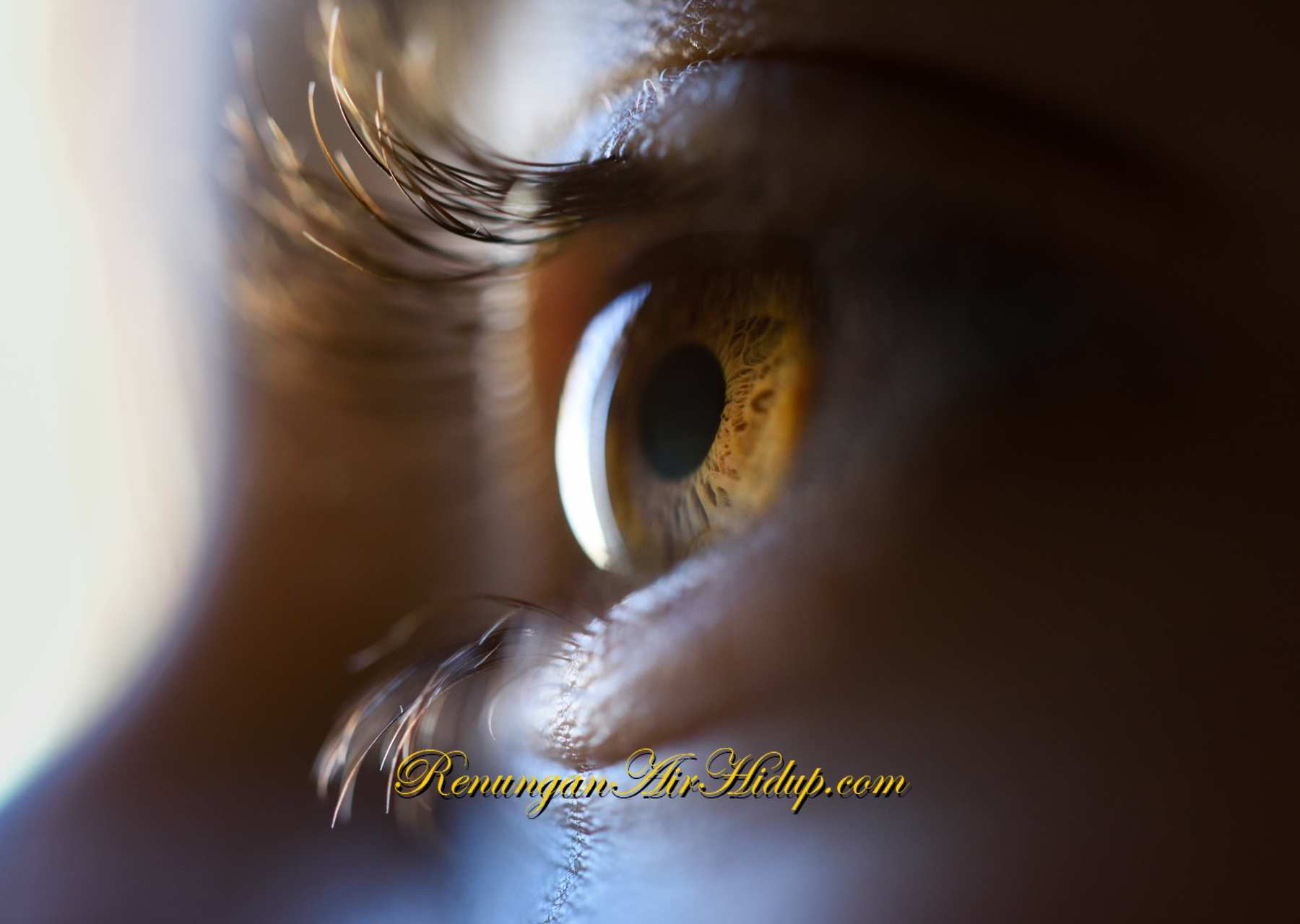 Tuhan_Menghadapkan_WajahNya_Kepadamu